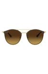Ray Ban Ray-ban 52mm Round Sunglasses In Brown/gold