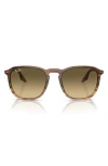 Ray Ban Ray-ban 52mm Square Sunglasses In Brown