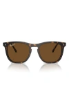 Ray Ban 53mm Polarized Square Sunglasses In Havana