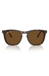 Ray Ban 53mm Polarized Square Sunglasses In Havana