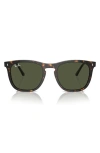 Ray Ban 53mm Polarized Square Sunglasses In Havana