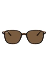 Ray Ban 53mm Polarized Square Sunglasses In Havana/ Brown