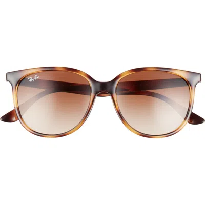 Ray Ban Ray-ban 54mm Gradient Square Sunglasses In Havana/gradient Brown