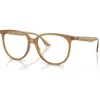 Ray Ban Ray-ban 54mm Square Optical Glasses In Brown