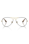 Ray Ban Ray-ban 55mm Optical Glasses In Gold Havana
