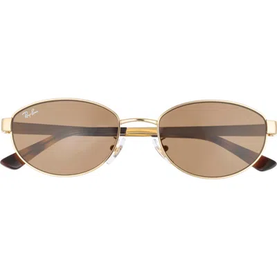 Ray Ban Ray-ban 55mm Oval Sunglasses In Neutral