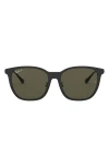 Ray Ban Ray-ban 55mm Polarized Square Sunglasses In Brown