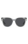 Ray Ban Ray-ban 55mm Square Sunglasses In Brown