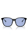 Ray Ban Ray-ban 55mm Square Sunglasses In Black