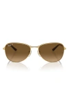 Ray Ban 56mm Polarized Pilot Sunglasses In Gold/ Brown Grad