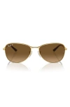 Ray Ban Ray-ban 56mm Polarized Pilot Sunglasses In Gold/brown Grad