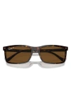 Ray Ban 56mm Polarized Rectangular Sunglasses In Havana