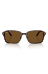 Ray Ban Raimond Sunglasses Havana Frame Brown Lenses Polarized 58-18 In Havana