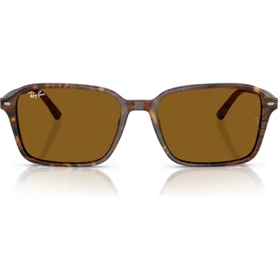 Ray Ban Ray-ban 56mm Square Sunglasses In Brown