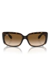 Ray Ban 58mm Rectangular Sunglasses In Dark Havana