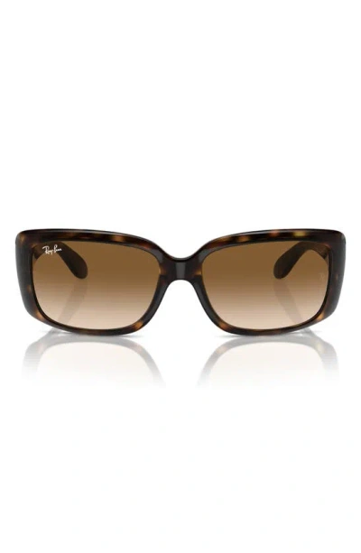 Ray Ban 58mm Rectangular Sunglasses In Dark Havana