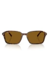 Ray Ban Ray-ban 58mm Square Sunglasses In Brown