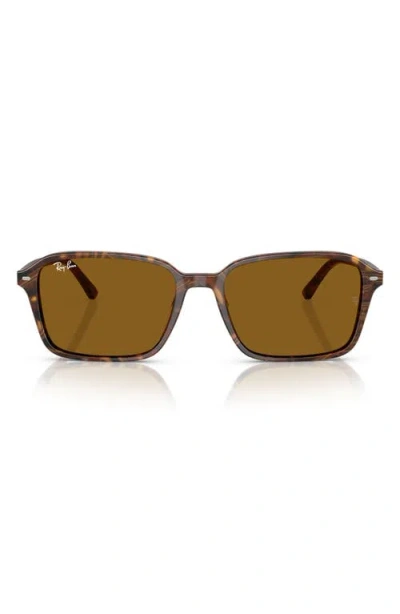 Ray Ban Ray-ban 58mm Square Sunglasses In Brown