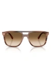 Ray Ban Rb2213 Sunglasses Havana Brown Frame Brown Lenses 58-20 In Brown Havana