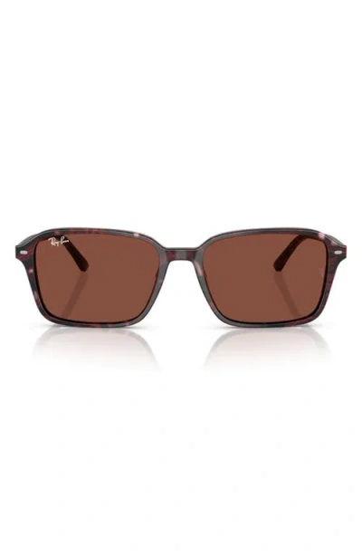 Ray Ban Ray-ban 58mm Square Sunglasses In Red