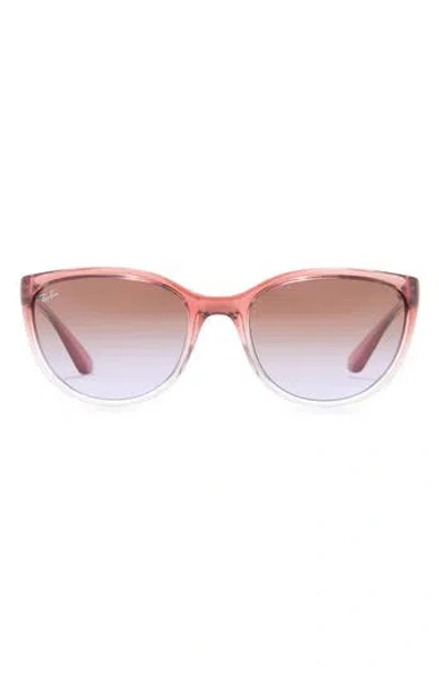Ray Ban Ray-ban 59mm Cat Eye Sunglasses In Pink