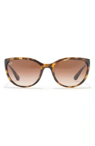 Ray Ban Ray-ban 59mm Cat Eye Sunglasses In Brown