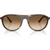 Ray Ban Ray-ban 59mm Gradient Square Sunglasses In Havana