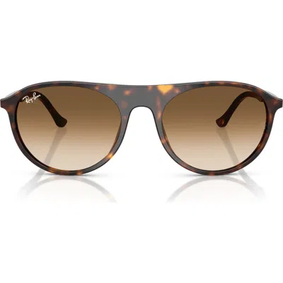 Ray Ban Ray-ban 59mm Gradient Square Sunglasses In Havana