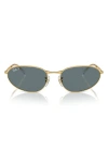 Ray Ban 59mm Polarized Oval Sunglasses In Gold Flash