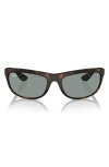 Ray Ban 62mm Oversize Rectangular Sunglasses In Havana