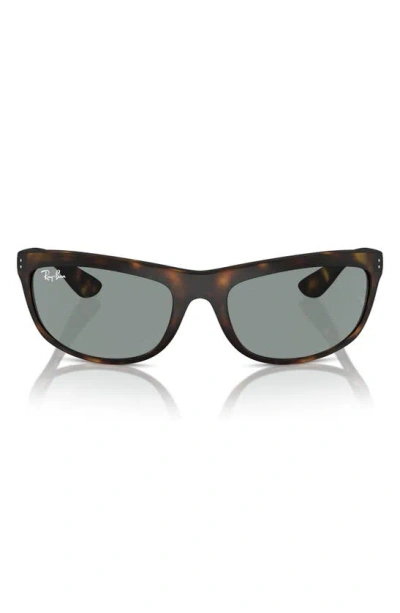 Ray Ban 62mm Oversize Rectangular Sunglasses In Havana