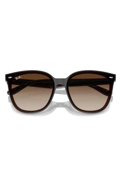 Ray Ban 66mm Gradient Oversize Irregular Sunglasses In Transparent Black