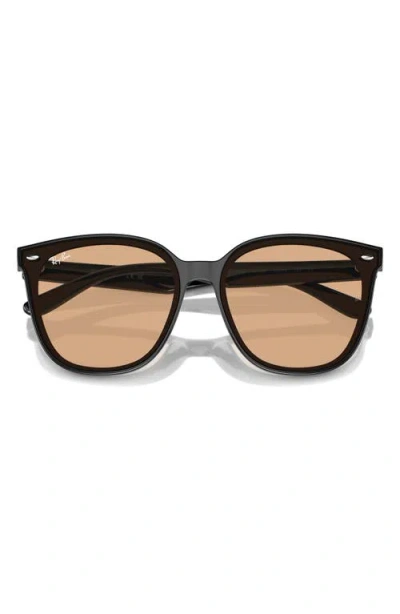 Ray Ban Ray-ban 66mm Oversize Irregular Sunglasses In Black/brown