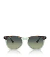 Ray Ban Eagle Eye Round-frame Sunglasses In Brown