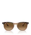 Ray Ban Sunglasses Unisex Eagle Eye - Havana On Transparent Brown Frame Brown Lenses Polarized 53-21 In Gold