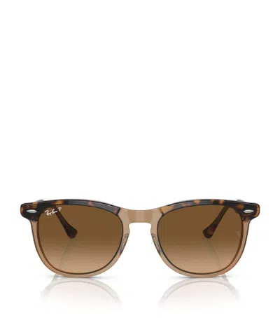 Ray Ban Sunglasses Unisex Eagle Eye - Havana On Transparent Brown Frame Brown Lenses Polarized 53-21
