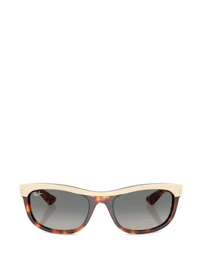Ray Ban Balorama Browline Sunglasses In Brown