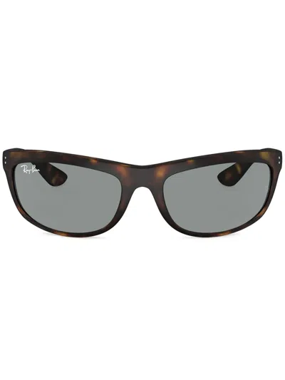 Ray Ban Balorama Sunglasses In Brown