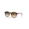 Ray Ban Bernard Sonnenbrillen Havana Fassung Braun Glas 53-21 In Havana