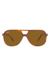 Ray Ban Bill In Striped Havana/brown