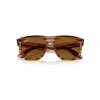 Ray Ban Boyfriend Reverse Sunglasses Striped Havana Frame Brown Lenses Polarized 56-18 In Striped Havana