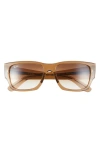Ray Ban Carlos 56mm Polarized Rectangular Sunglasses In Dark Brown