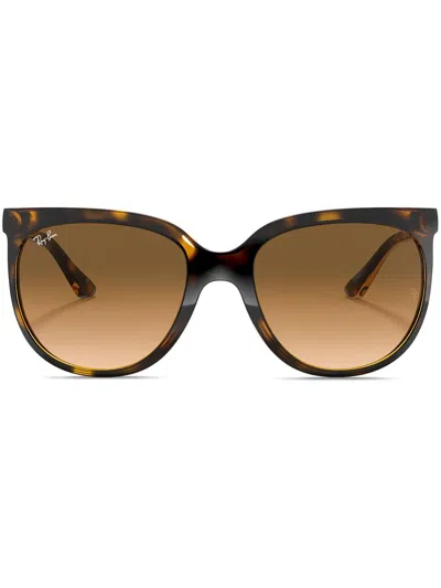 Ray Ban Cats 1000 Sunglasses In Brown