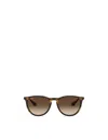 Ray Ban Ray-ban Chris Round Frame Sunglasses In Green