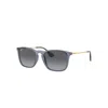 Ray Ban Ray In Gold