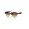 Ray Ban Clubmaster Way Sonnenbrillen Pink Tortoise Fassung Braun Glas 54-19 In Pink Tortoise