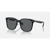 Ray Ban Ray In Black