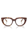 Ray Ban Ray-ban Doreen 48mm Small Square Optical Glasses In Havana