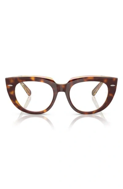 Ray Ban Ray-ban Doreen 48mm Small Square Optical Glasses In Havana