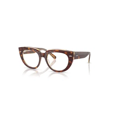 Ray Ban Doreen Optics  Hell Havana Auf Multicolor Fassung Klar Glas Polarisiert 48-19